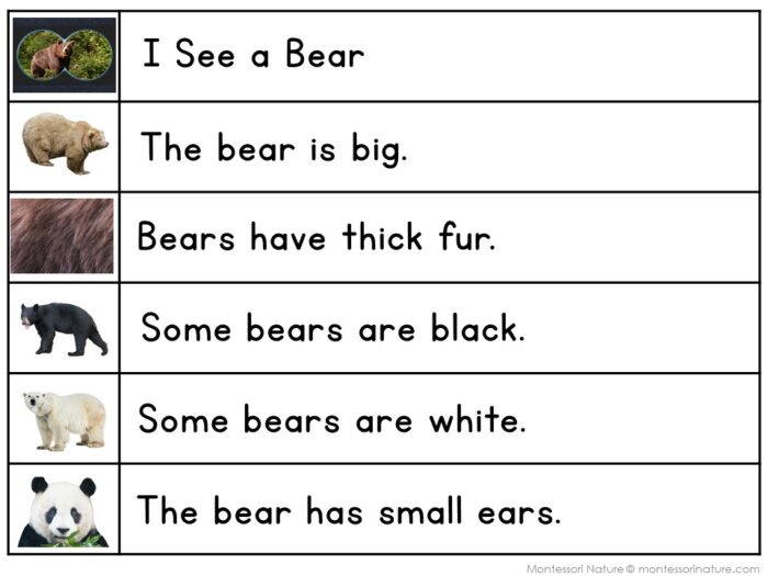 All About Bears Decodable Phonics Reader & Comprehension Handwriting Strips - Image 2