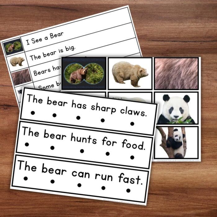 All About Bears Decodable Phonics Reader & Comprehension Handwriting Strips - Image 3