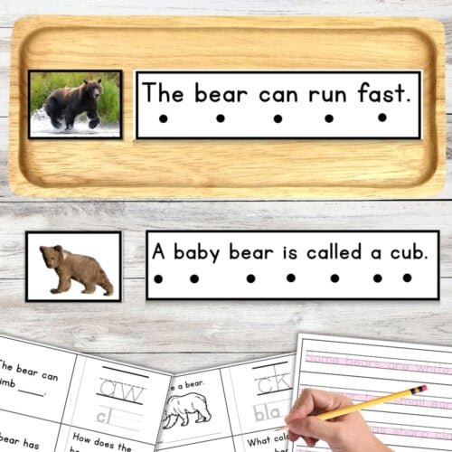 All About Bears Decodable Phonics Reader & Comprehension Handwriting Strips