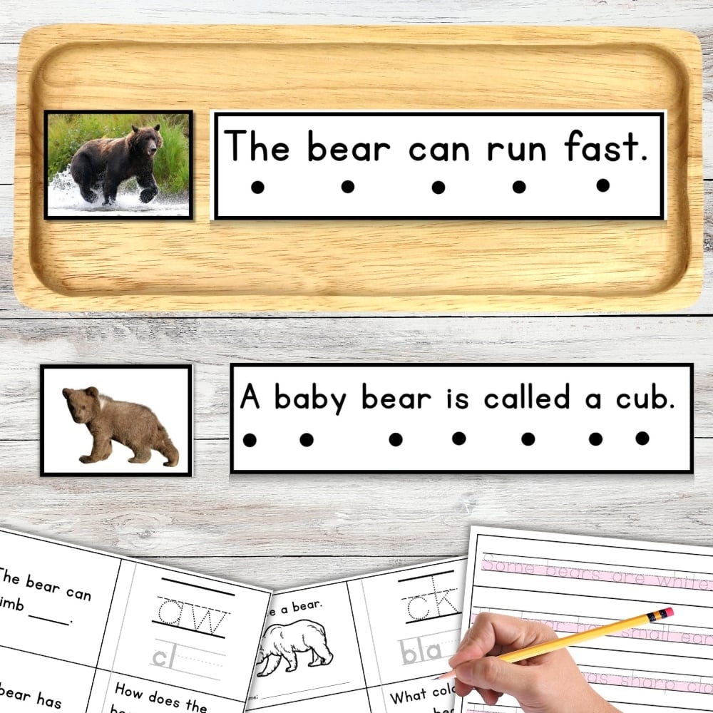 All About Bears Decodable Phonics Reader & Comprehension Handwriting Strips
