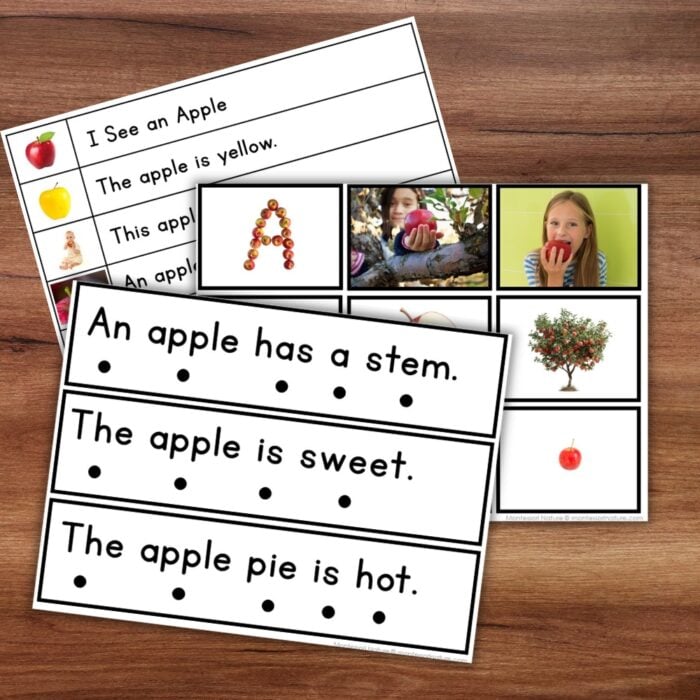 Apple Sentence Strips Comprehension Booklet Phonics Reading Tracing - Image 2