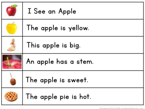 Apple Sentence Strips Comprehension Booklet Phonics Reading Tracing - Image 4