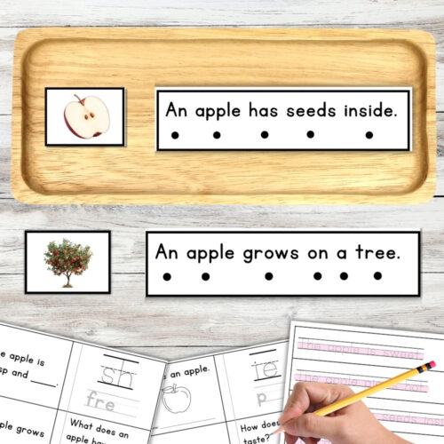 Apple Sentence Strips Comprehension Booklet Phonics Reading Tracing