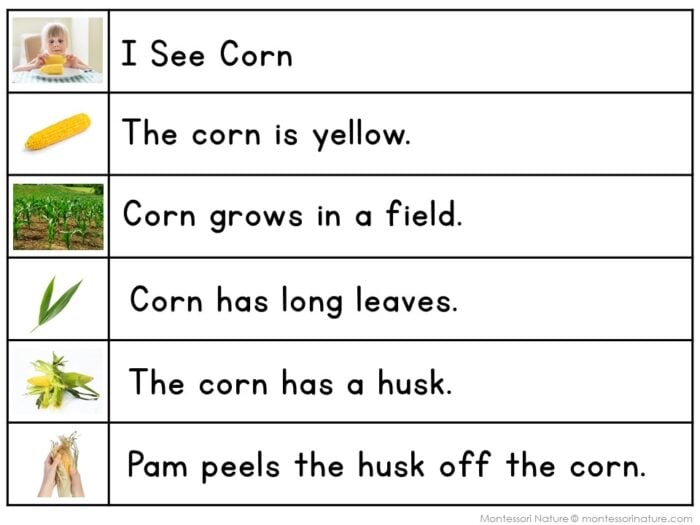 Corn Sentence Strips Comprehension Booklet Phonics Reading Tracing - Image 2
