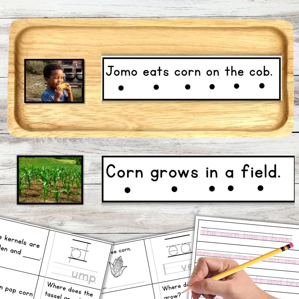 Corn Sentence Strips Comprehension Booklet Phonics Reading Tracing