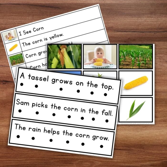 Corn Sentence Strips Comprehension Booklet Phonics Reading Tracing - Image 4