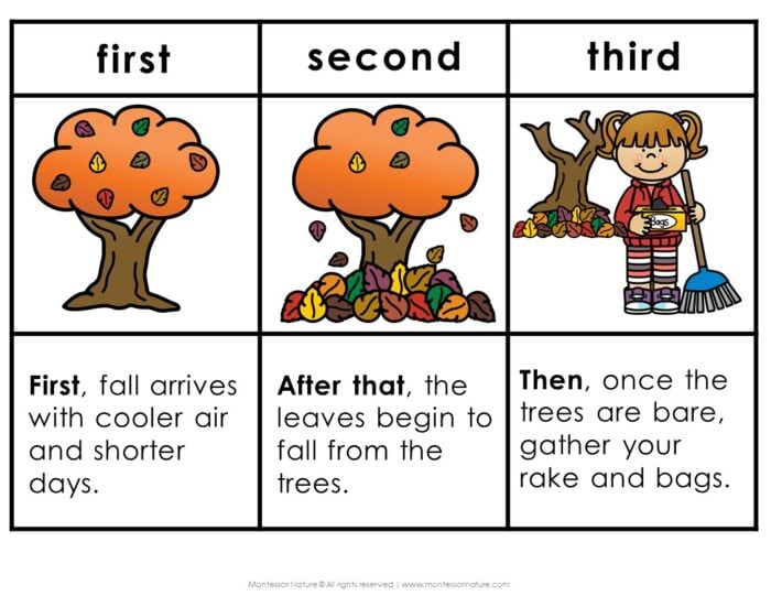 How to Rake Leaves: Practical Life Sequencing Care of Environment Grammar - Image 2