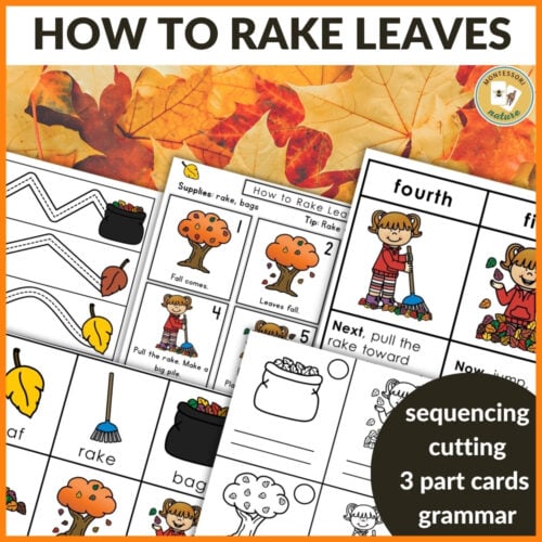 How to Rake Leaves: Practical Life Sequencing Care of Environment Grammar