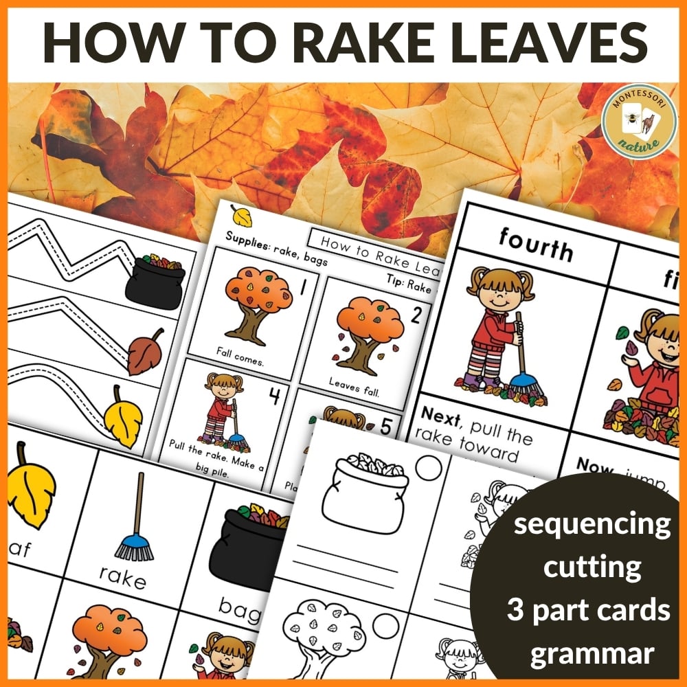 How to Rake Leaves: Practical Life Sequencing Care of Environment Grammar