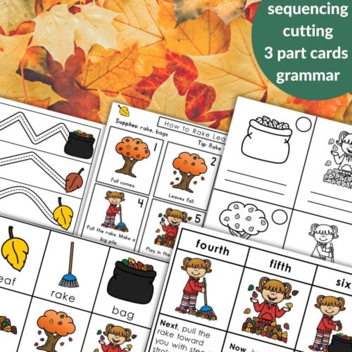 How to Rake Leaves: Practical Life Sequencing Care of Environment Grammar