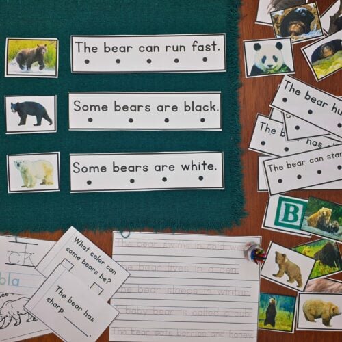 All About Bears Phonics Reader Comprehension