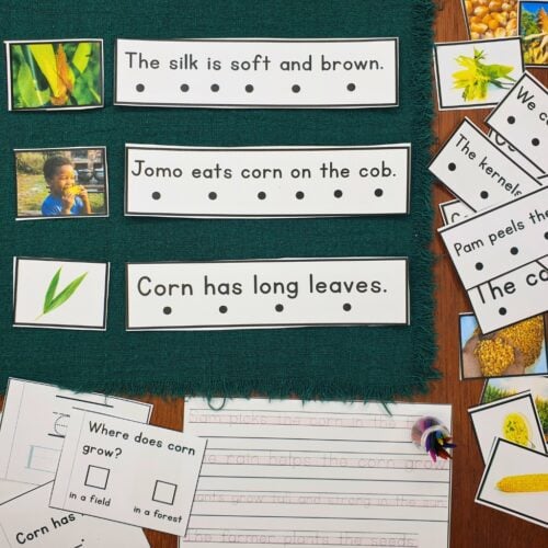 Corn Sentence Strips Comprehension Phonics