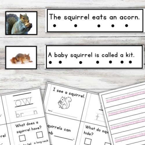 Squirrel Sentence Strips Comprehension Booklet Phonics Reading Tracing