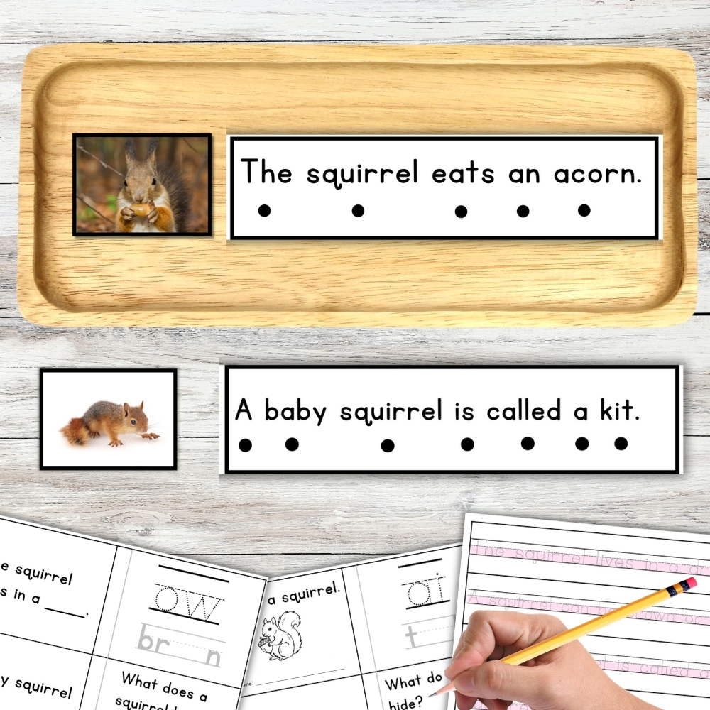 Displayed on a light wooden surface are two squirrel photos, sentences about squirrels, and printed activity sheets featuring squirrel-themed reading and writing exercises. These materials include the Squirrel Sentence Strips Comprehension Booklet Phonics Reading Tracing to support early literacy skills. Montessori Nature Printable