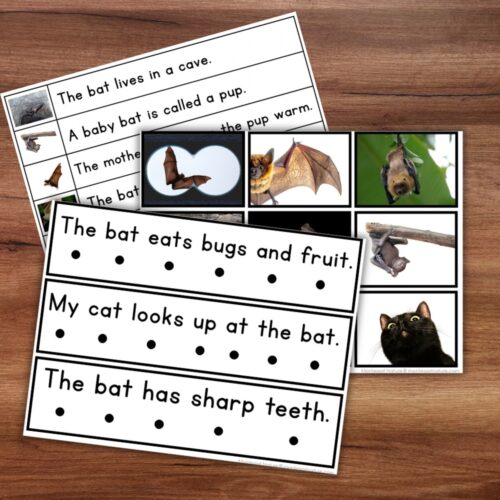 Two All About Bats Decodable Phonics Reader Comprehension Science of Reading activity sheets featuring sentences about bats alongside photographs of bats and a cat. Montessori Nature Printable