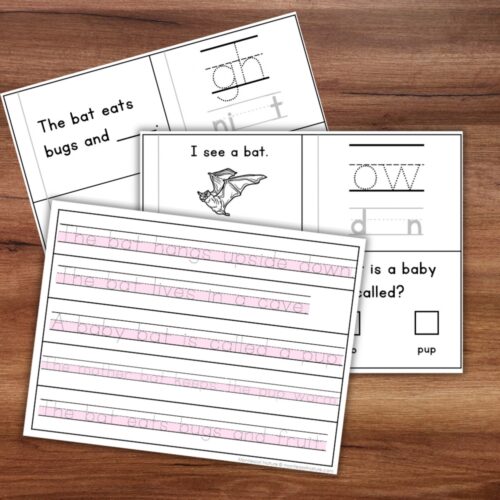 All About Bats Decodable Phonics Reader Comprehension Science of Reading worksheets with decodable sentences about bats to trace and fill in. Montessori Nature Printable