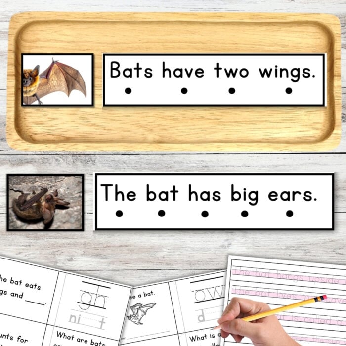 A hand writes on an All About Bats Decodable Phonics Reader Comprehension Science of Reading, with accompanying bat-themed decodable reader worksheets visible. Montessori Nature Printable