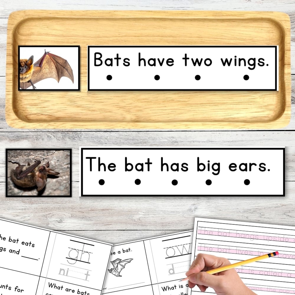 A hand writes on an All About Bats Decodable Phonics Reader Comprehension Science of Reading, with accompanying bat-themed decodable reader worksheets visible. Montessori Nature Printable