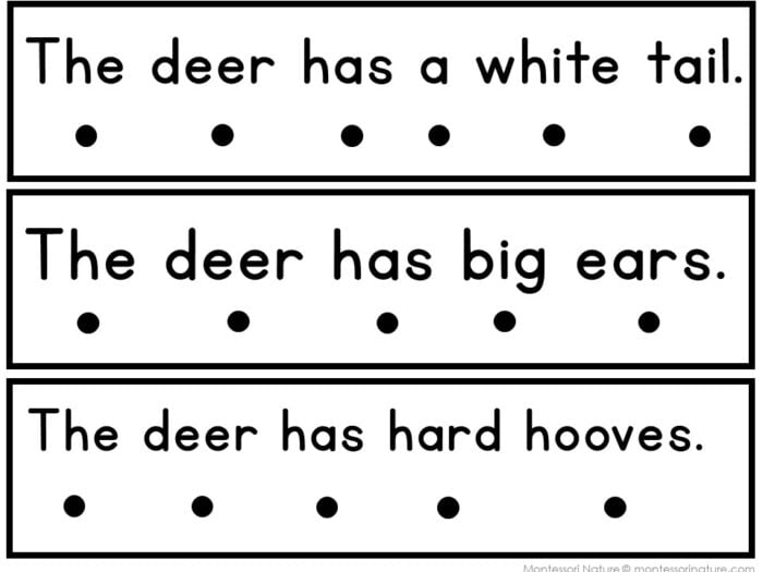 All About Deer Decodable Phonics Reader Comprehension Science of Reading - Image 2