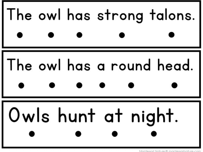 All About Owls Decodable Phonics Reader Comprehension Science of Reading - Image 4