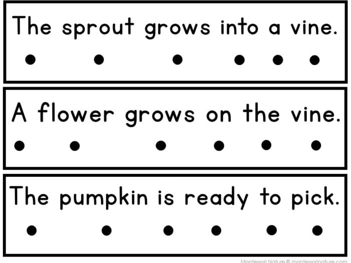 All About Pumpkins Decodable Phonics Reader Comprehension - Image 2