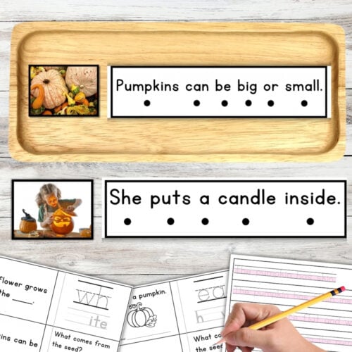 All About Pumpkins Decodable Phonics Reader Comprehension