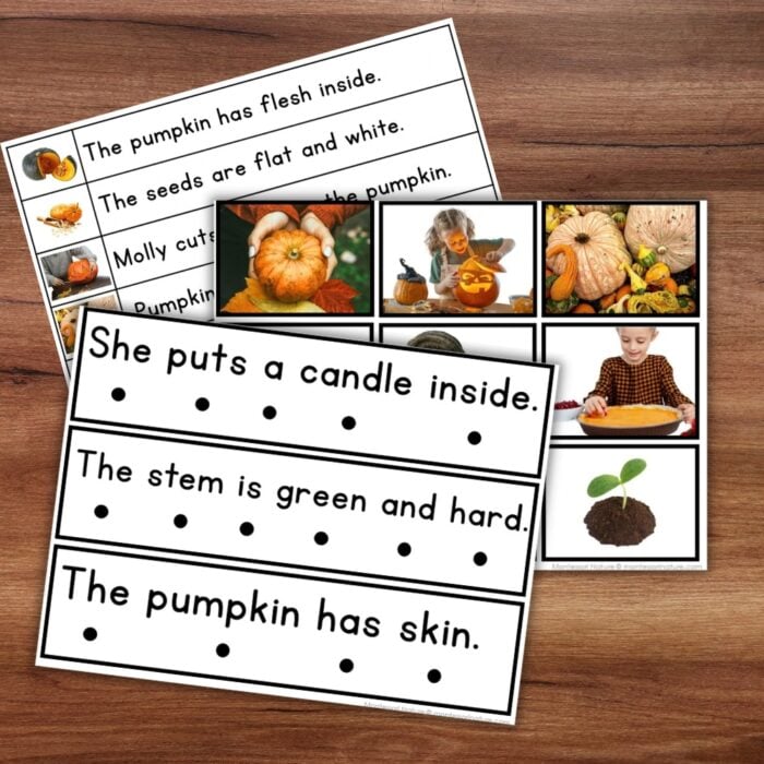 All About Pumpkins Decodable Phonics Reader Comprehension - Image 4