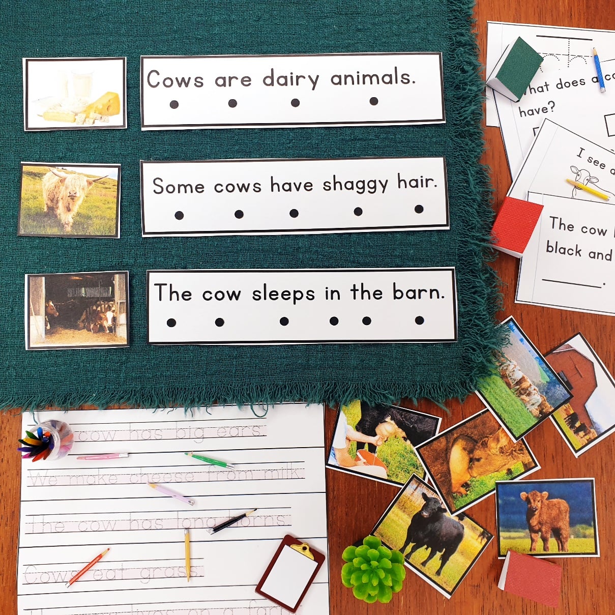 All About Cows Decodable Phonics Reader Comprehension
