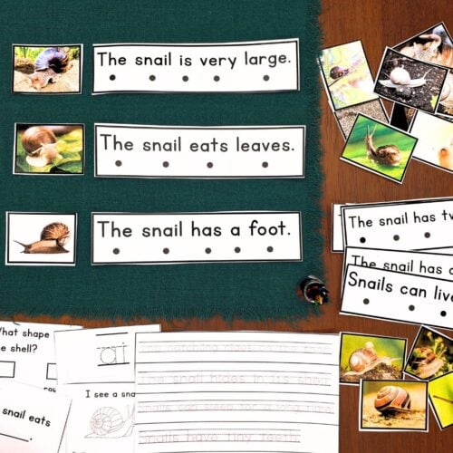 All About Snails Decodable Phonics Reader Comprehension