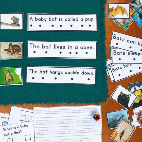 All About Bats Decodable Phonics Reader Comprehension