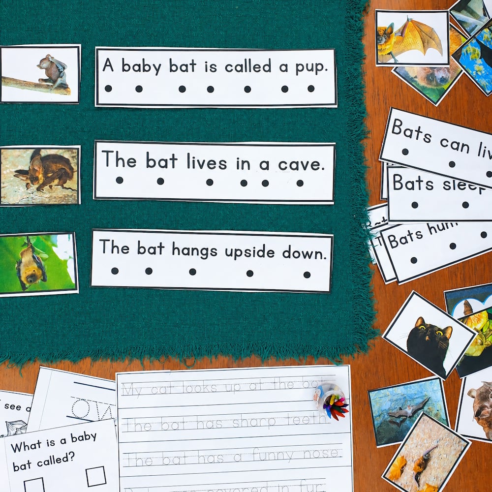 All About Bats Decodable Phonics Reader Comprehension