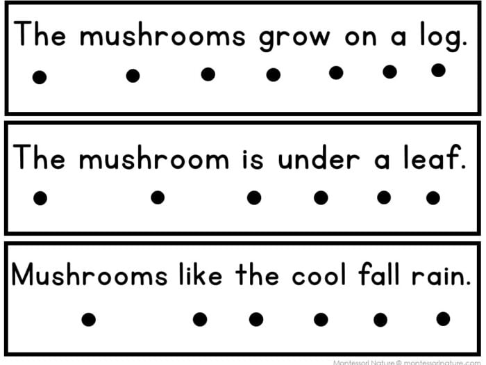 Mushrooms Decodable Phonics Reader Comprehension - Image 2