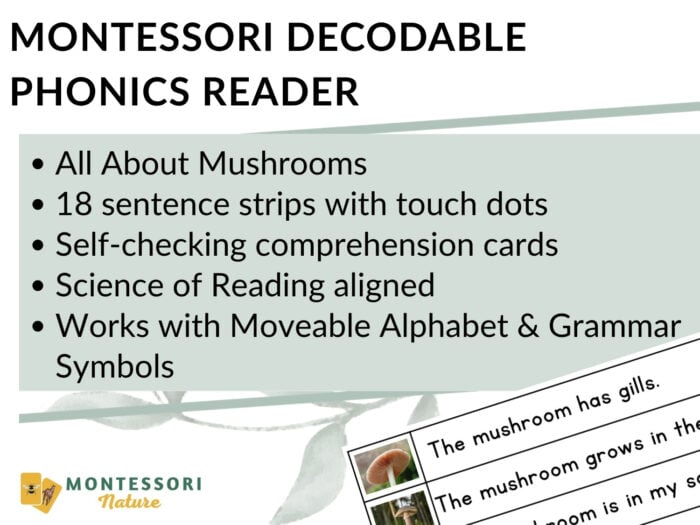 Mushrooms Decodable Phonics Reader Comprehension - Image 3