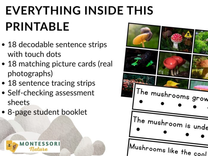 Mushrooms Decodable Phonics Reader Comprehension - Image 4