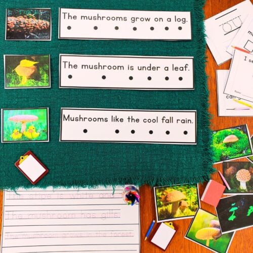 Mushrooms Decodable Phonics Reader Comprehension mat featuring three sentence strips with mushroom photos and black dots, surrounded by additional mushroom photos and practice sheets. Montessori Nature Printable