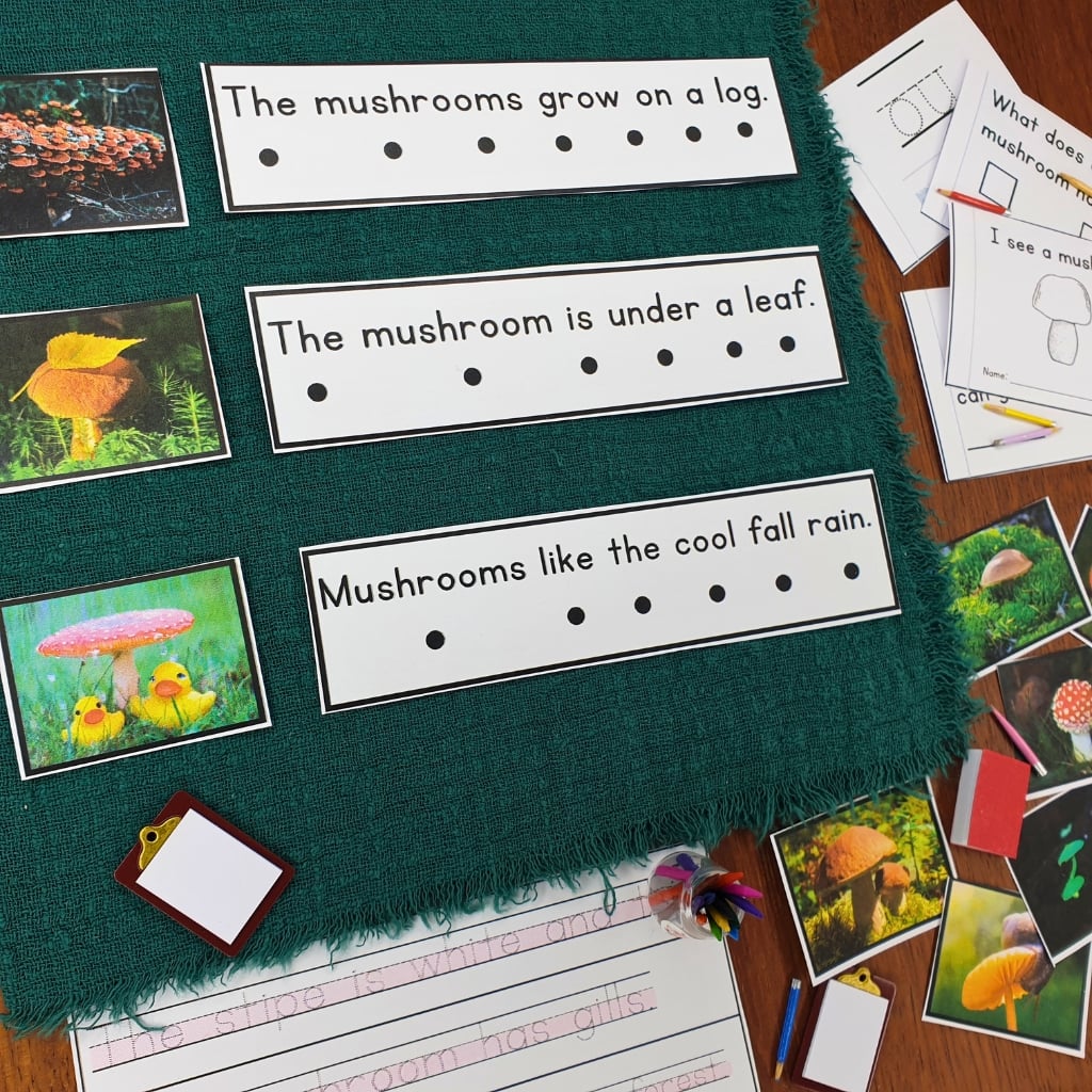 Mushrooms Decodable Phonics Reader Comprehension