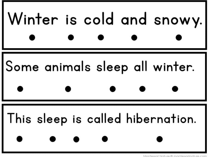 Winter Animals: Hibernation, Migration & Adaptation Phonics Reader - Image 2