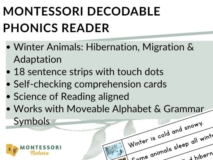 Winter Animals: Hibernation, Migration & Adaptation Phonics Reader - Image 3