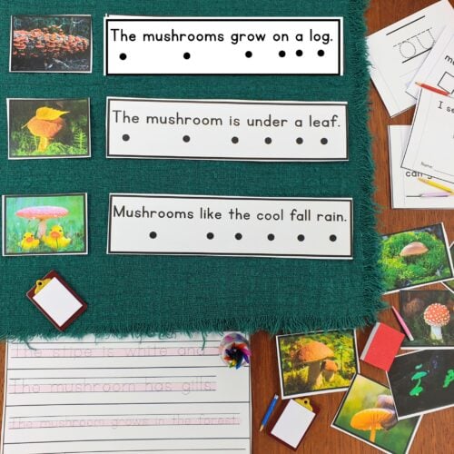 Mushrooms Decodable Phonics Reader Comprehension