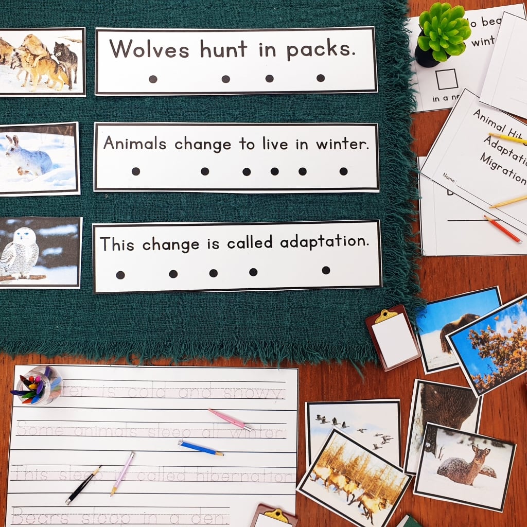 Winter Animals: Hibernation, Migration & Adaptation Phonics Reader