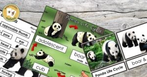 A panda bear is shown on a wooden board.