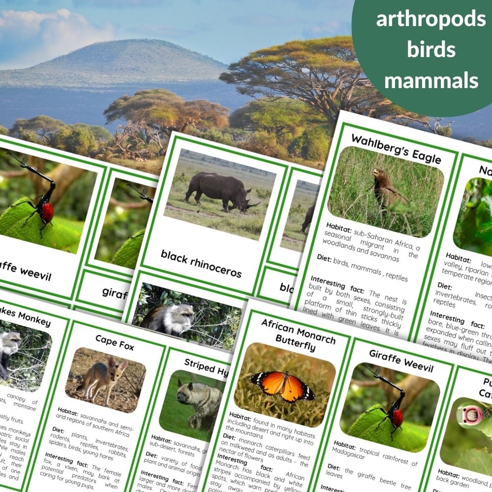 45 Animals Of Africa: 3 Part Cards & Facts features educational cards with photos and information on arthropods, birds, and mammals, all set against a stunning savanna landscape. Montessori Nature Printables