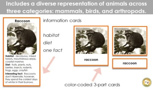 45 Animals Of North America: 3 Part Cards Facts - Montessori Nature