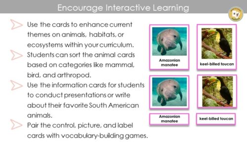 45 Animals Of South America: 3 Part Cards Facts - Montessori Nature
