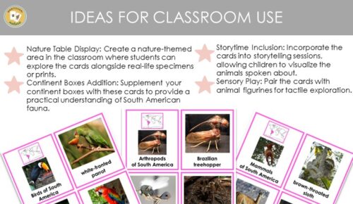 45 Animals Of South America: 3 Part Cards Facts - Montessori Nature