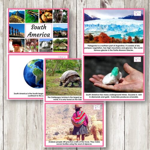 South America Continent Cards Country Research