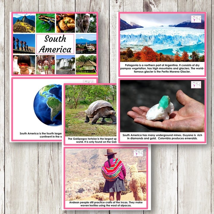 South America Continent Cards Country Research