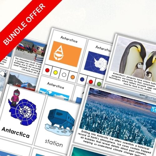 A collage of educational materials and activity cards about Antarctica, featuring maps, animals, landmarks, and facts, labeled “Antarctica Continent Bundle.”. Montessori Nature Printables