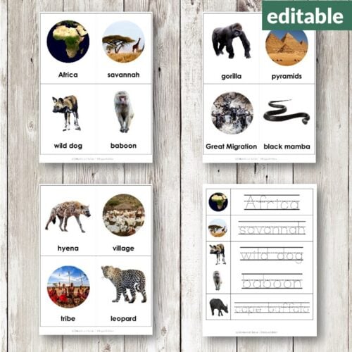Africa Vocabulary 3 Part Cards set featuring images and names of African animals, landmarks, and objects to boost vocabulary, includes editable tracing worksheets. Montessori Nature Printables