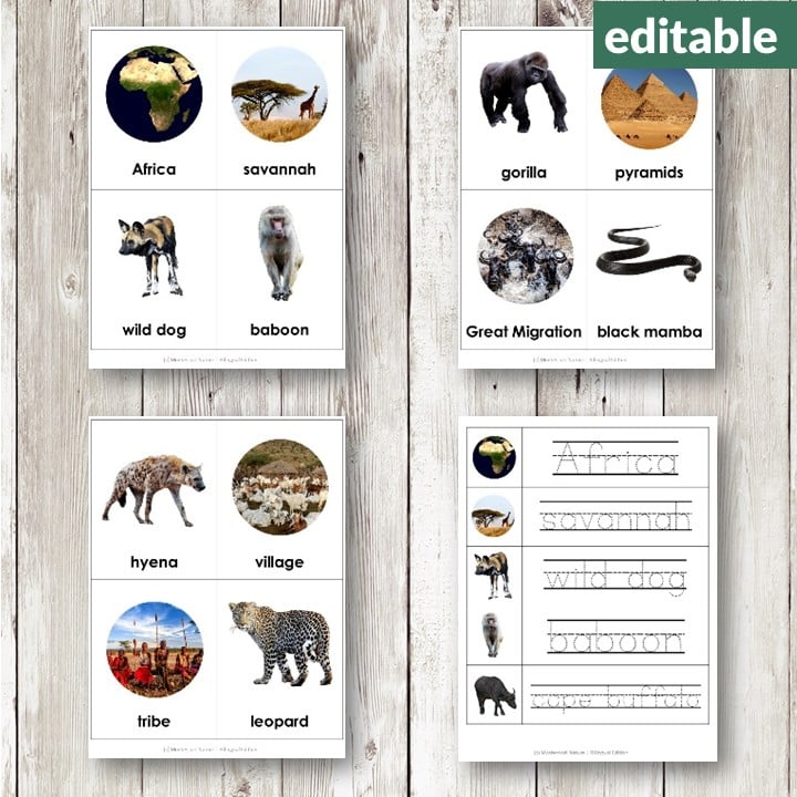 Africa Vocabulary 3 Part Cards set featuring images and names of African animals, landmarks, and objects to boost vocabulary, includes editable tracing worksheets. Montessori Nature Printables